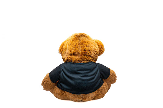 Travis Scott Astroworld Teddy Bear - Plush Collectible